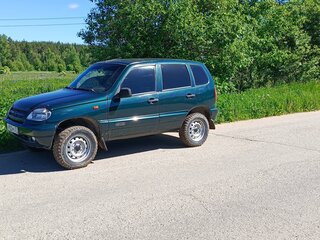 2004 Chevrolet Niva I, зелёный, 250000 рублей, вид 1