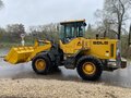 2016 LGCE LG936L, жёлтый, 2200000 рублей - вид 2