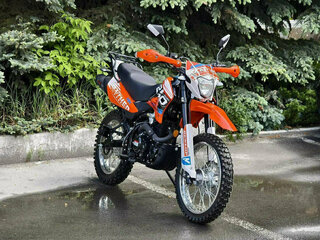 2026 Racer Panther, оранжевый, 123400 рублей, вид 3