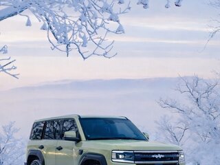 2025 BYD FangChengBao Leopard 5 I, зелёный, 5500000 рублей, вид 1