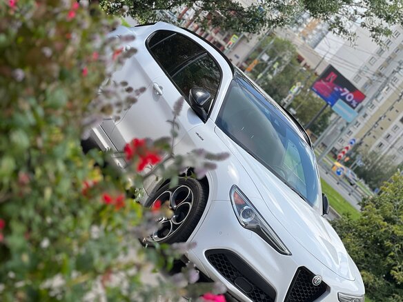2022 Alfa Romeo Stelvio I Рестайлинг, белый, 3700000 рублей