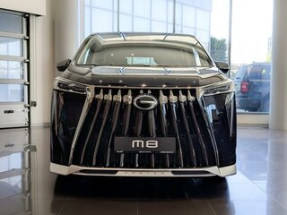 2024 GAC M8, чёрный, 5999000 рублей, вид 5