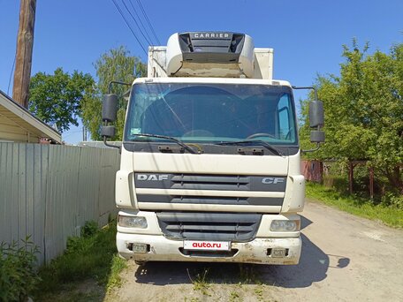 2004 DAF CF 65, белый, 3200000 рублей, вид 2