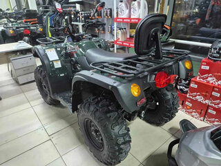 2026 Baltmotors Striker 500 EFI, зелёный, 659900 рублей, вид 3