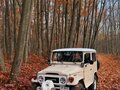 1979 Toyota Land Cruiser 40 Series, бежевый, 12000000 рублей - вид 6