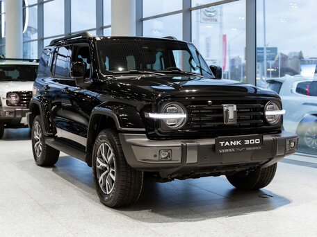 Tank 300 I