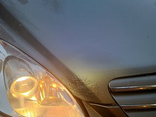 2007 Mercedes-Benz B-Класс 200 I (W245), серый, 455000 рублей, вид 4