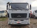 2020 Tigarbo Автобетоносмесители, серый, 3015675 рублей - вид 1