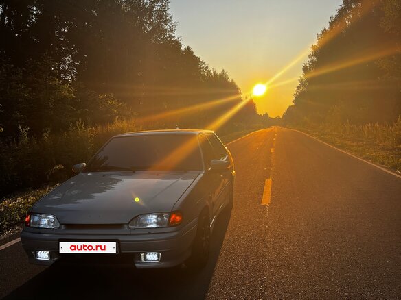 2004 Lada (ВАЗ) 2115, серебристый, 300000 рублей - вид 19
