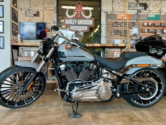 2024 Harley-Davidson Breakout, серый, 3300000 рублей - вид 1