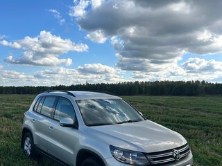 2014 Volkswagen Tiguan I Рестайлинг, серый, 1250000 рублей, вид 2