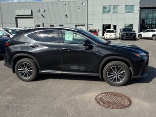 2025 Lexus NX 350 II, чёрный, 8160000 рублей, вид 4