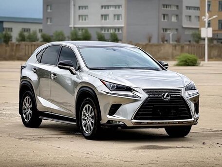 2020 Lexus NX 200 I Рестайлинг, серый, 2550000 рублей, вид 3