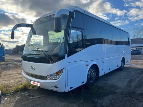 2024 Higer KLQ 6928, белый, 9300000 рублей, вид 4