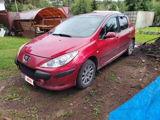 2006 Peugeot 307 I Рестайлинг, красный, 250000 рублей, вид 1