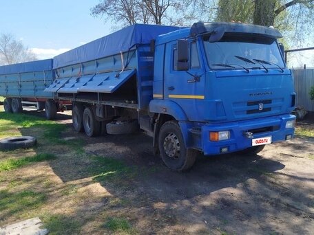 2011 КамАЗ 65117, синий, 3000000 рублей, вид 2