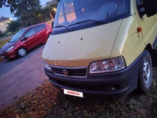 2010 Fiat Professional Ducato, жёлтый, 430000 рублей, вид 2
