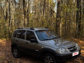 2012 Chevrolet Niva I Рестайлинг, серый, 450000 рублей, вид 5