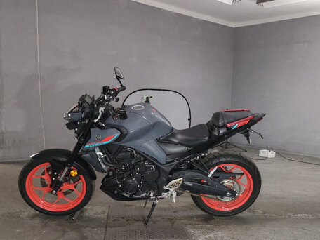 2020 Yamaha MT-25, серый, 430000 рублей, вид 1