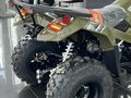 2026 Kayo AU300, зелёный, 449990 рублей - вид 11