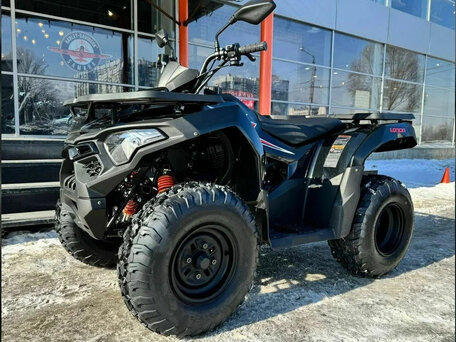 2024 Loncin XWolf 200, чёрный, 250000 рублей, вид 1