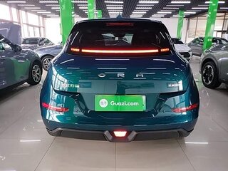 2023 Ora Good Cat 47.8 kWh I, зелёный, 1550000 рублей, вид 4