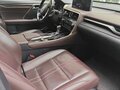 2020 Lexus RX 300 IV Рестайлинг, белый - вид 6