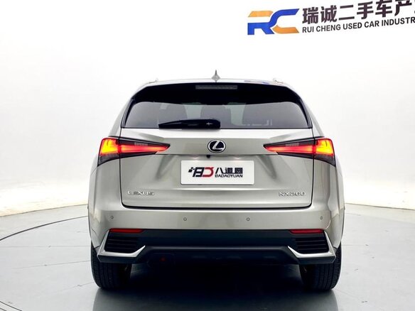 2021 Lexus NX 200 I Рестайлинг, серебристый, 2900000 рублей - вид 6
