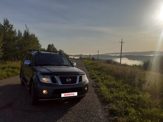 2010 Nissan Navara (Frontier) III (D40) Рестайлинг, серый, 1500000 рублей, вид 1