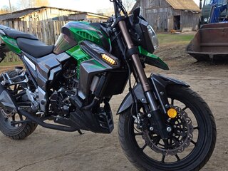 2023 Regulmoto T-Leopard 300, зелёный, 250000 рублей, вид 5