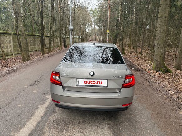 2019 Skoda Octavia III (A7) Рестайлинг, бежевый, 1900000 рублей - вид 7