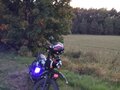 2026 Motoland Forester, синий, 100000 рублей - вид 2