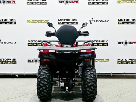 2026 Bizon YK250 LUX EFI, красный, 255000 рублей, вид 4