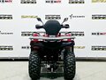 2026 Bizon YK250 LUX EFI, красный, 255000 рублей - вид 3