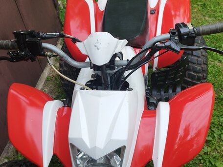 2014 Irbis ATV 250S, красный, 150000 рублей, вид 4