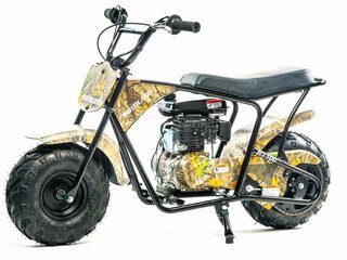 Motoland RT100
