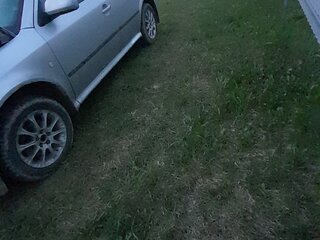 2007 Skoda Octavia I (A4) Рестайлинг, серебристый, 299999 рублей, вид 3