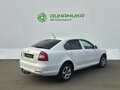 2010 Skoda Octavia II (A5) Рестайлинг, белый, 595000 рублей - вид 4