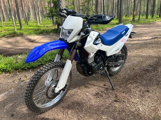 Irbis TTR 250
