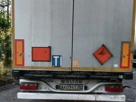2019 Wielton NS 3 K, серый, 2500000 рублей, вид 3