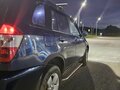 2009 Chery Tiggo (T11) I, синий - вид 8