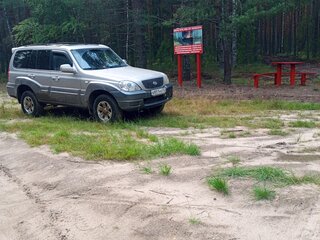 2004 Hyundai Terracan I Рестайлинг, серебристый, 750000 рублей, вид 3