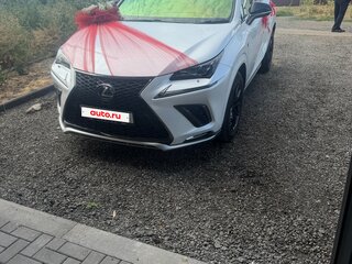 2017 Lexus NX 300 I Рестайлинг, белый, 3999999 рублей, вид 2