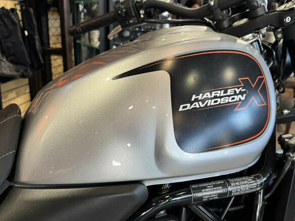 2023 Harley-Davidson X500, серебристый - вид 1