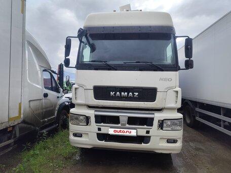 2018 КамАЗ 5490, белый, 1613000 рублей, вид 2