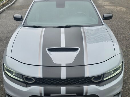 2021 Dodge Charger R__T VII (LD) Рестайлинг, серый, 4000000 рублей, вид 2