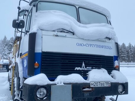 2015 МАЗ 6317, белый, 2841380 рублей, вид 2