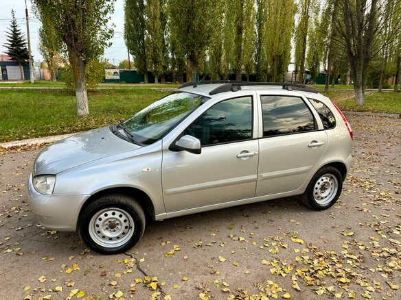 2013 Lada (ВАЗ) Kalina I, серебристый, 320000 рублей - вид 8