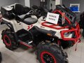2026 Loncin XWolf 1000 Mud, бежевый, 1469000 рублей - вид 4