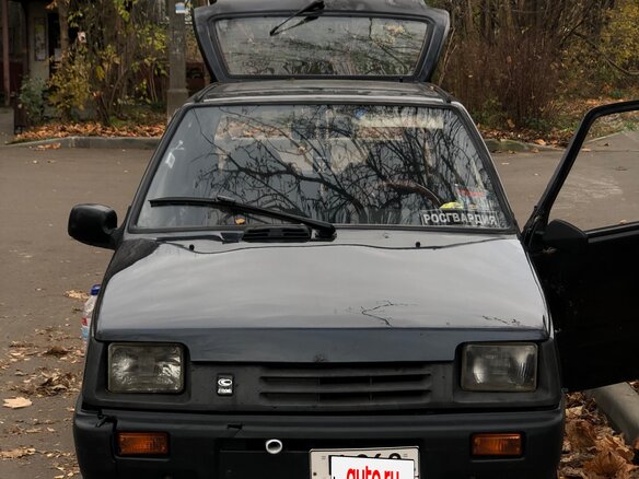 2006 Lada (ВАЗ) 1111 Ока КамАЗ, серый, 105000 рублей
